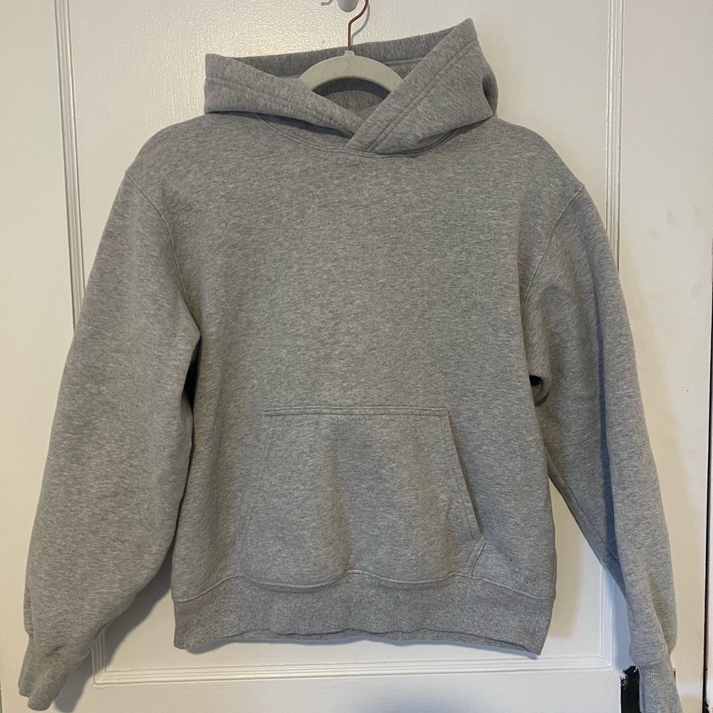 Gray ARITZIA Hoodie